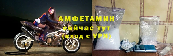 индика Баксан