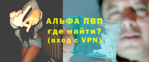 индика Баксан