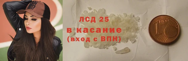индика Баксан