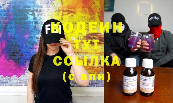 индика Баксан