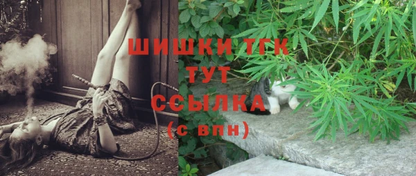 индика Баксан