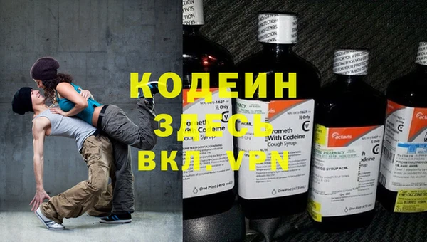 индика Баксан