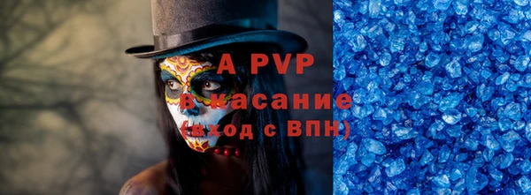 индика Баксан