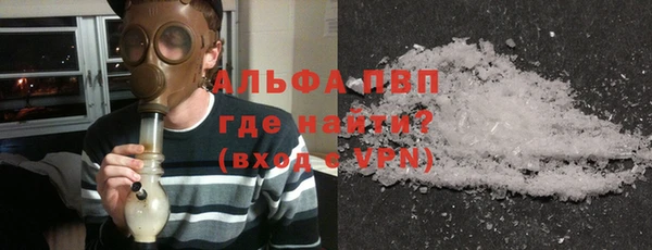 индика Баксан